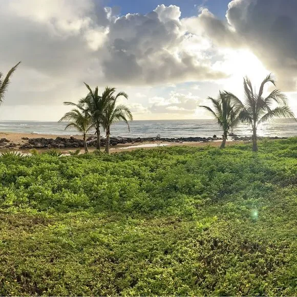 The Poshalots live listing! - Picture 2 of 7